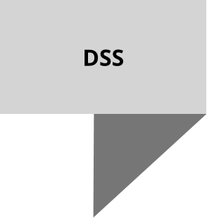 DSS