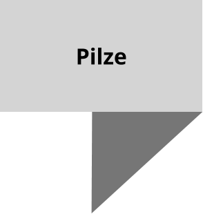Pilze